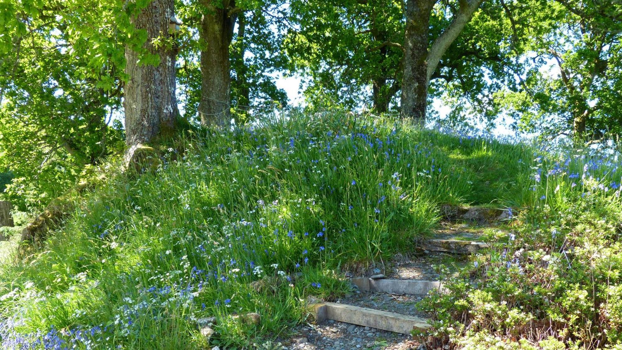 Blarghour Farm Cottages Ardchonnell Екстериор снимка